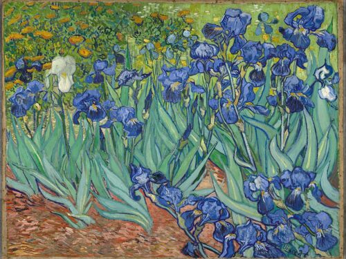 Palco di Proscenio – Fiori all’ Opera